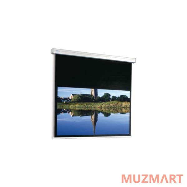 Projecta Compact Electrol [10102006] Экран