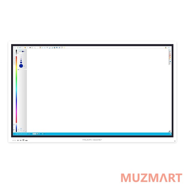 Triumph Board 55" INTERACTIVE FLAT PANEL UHD Интерактивная панель