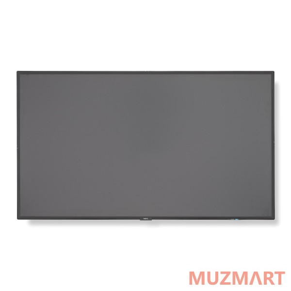 NEC Multisync P484 Панель