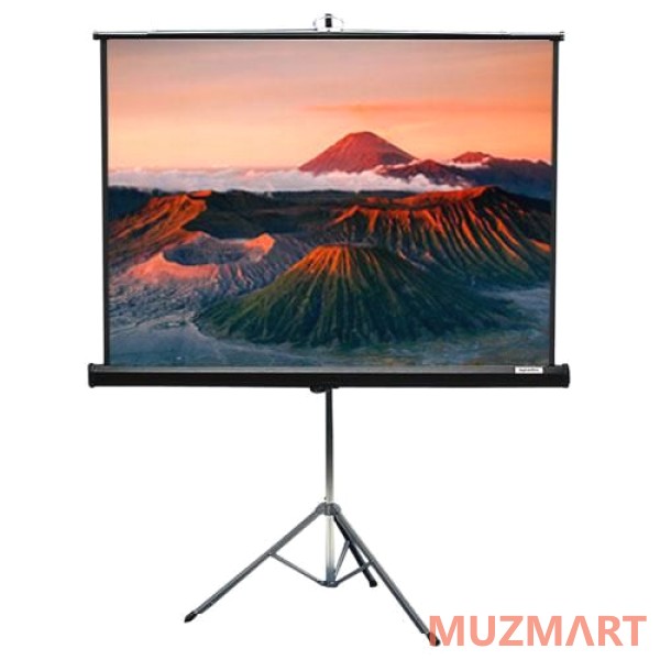 Draper Diplomat/R NTSC (3:4) 244/96" (100", 8') 152*203 MW (XT1000E) Экран