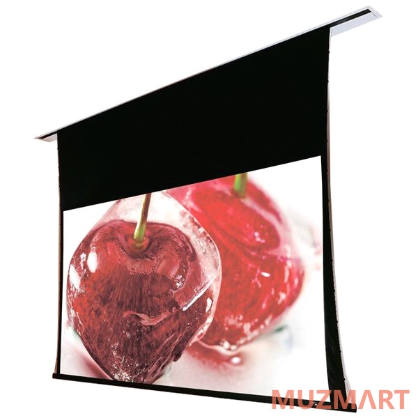 Draper Access FIT/V HDTV (9:16) 269/106" 132*234 XT1000V (M1300) Экран