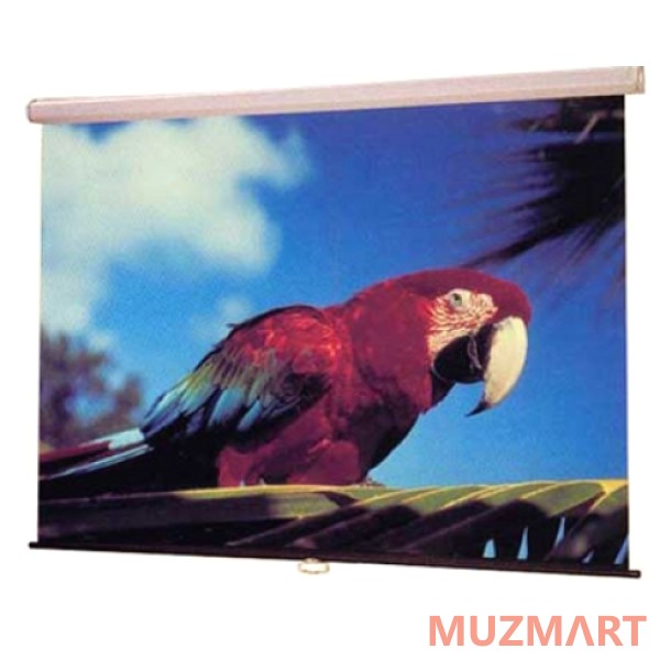 Draper Luma NTSC (3:4) 305/120" (10') 175*234 XT1000E (MW) Экран