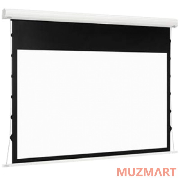 Euroscreen Diplomat Electric HDTV (16:9) 270*180cm Экран