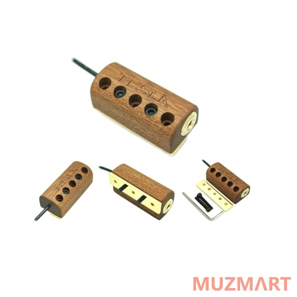 Tesla BANJO BRACKET/GD Подсоединяемый джек-разъём для банджо
