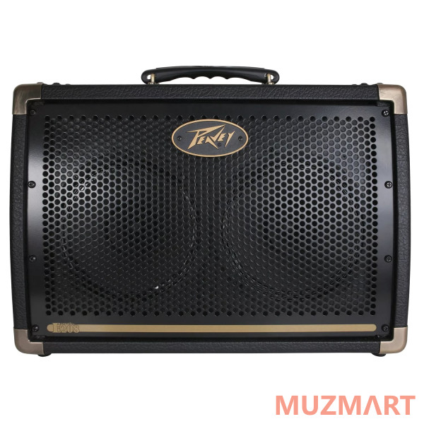 Peavey Ecoustic E208 Комбоусилитель для акустической гитары