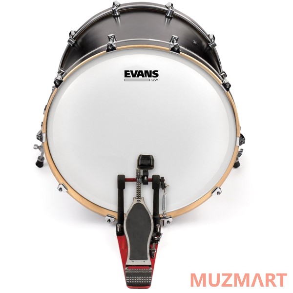 Evans BD18UV1 пластик для бас барабана 18"