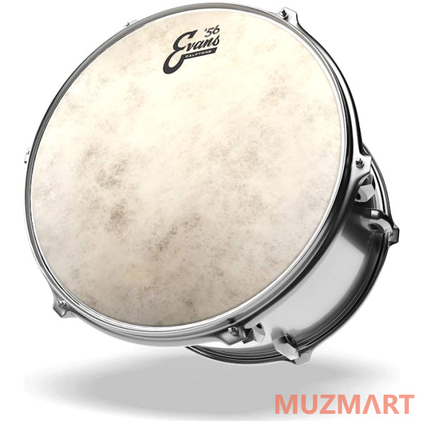 Evans TT08C7 пластик 8" Calftone для том-тома