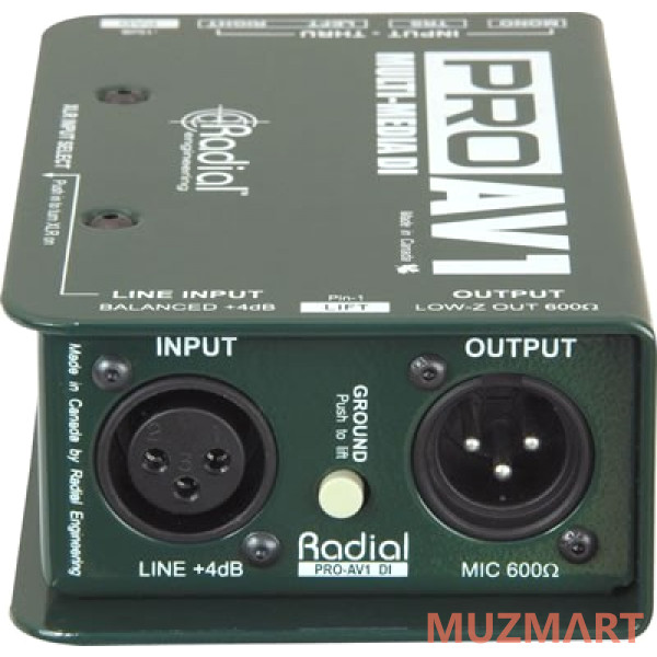 Radial PRO-AV1 Мультимедиа дибокс