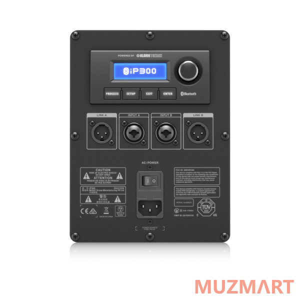 Turbosound IP300 Активная акустическая система