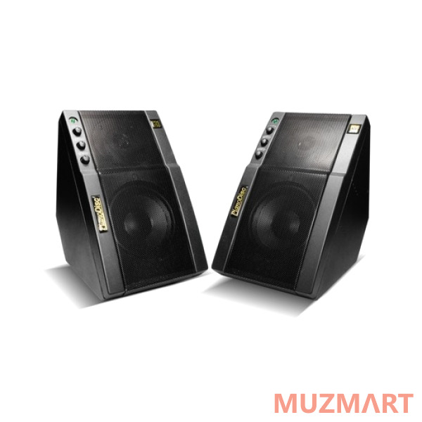 PianoDisc PDS 250 Активная акустическая система