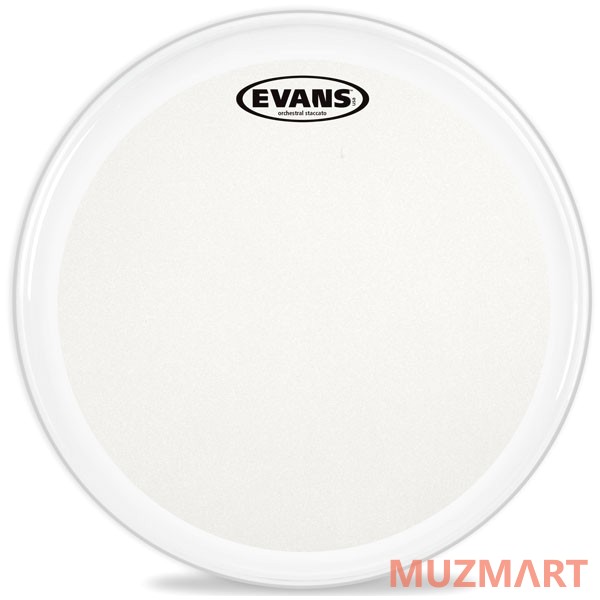 Evans B14GCSS Пластик оркестровый для малого барабана 14"