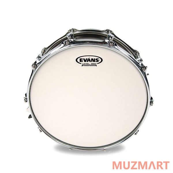 Evans B14ST Пластик для малого барабана 14"