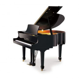 Pearl River BGP160A (A111) Рояль