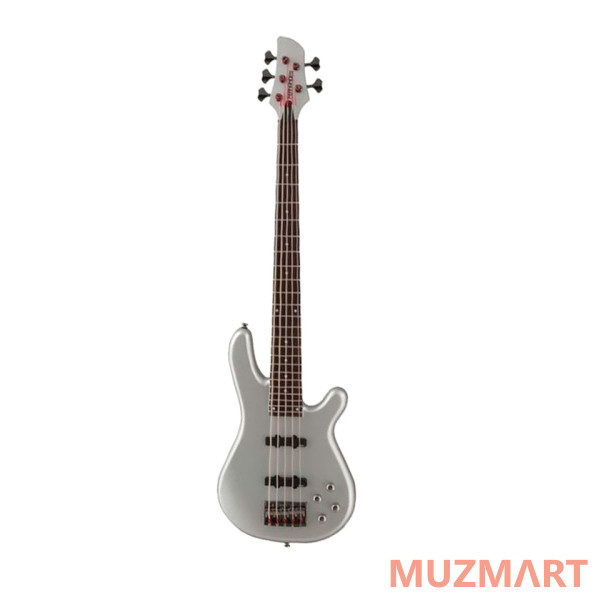 Fernandes Guitars G5D(08)PTR 5-струнная бас-гитара
