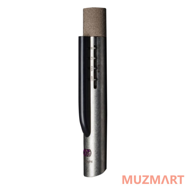 Aston Microphones STARLIGHT Студийный конденсаторный микрофон