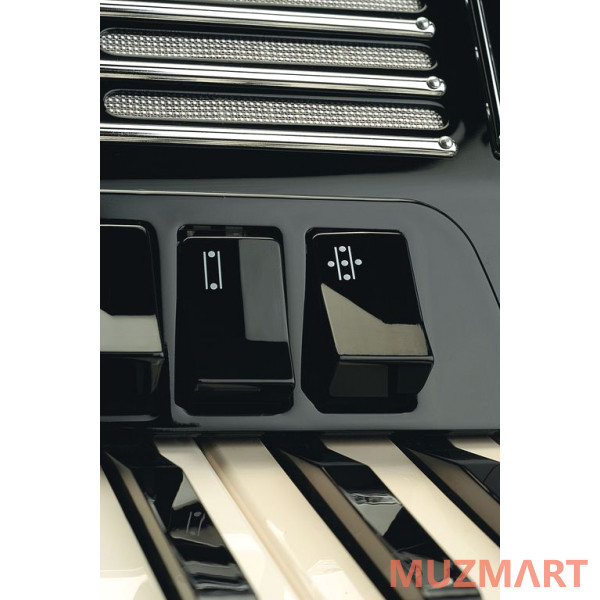 Hohner A2121 MORINO IV 120 C B/B-G Convertor B-System (Russian system) Аккордеон