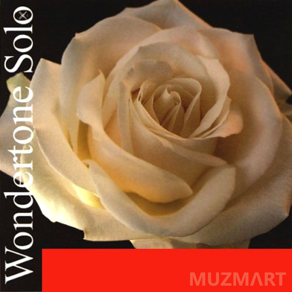 Pirastro 410521 Wondertone Solo Комплект струн для скрипки