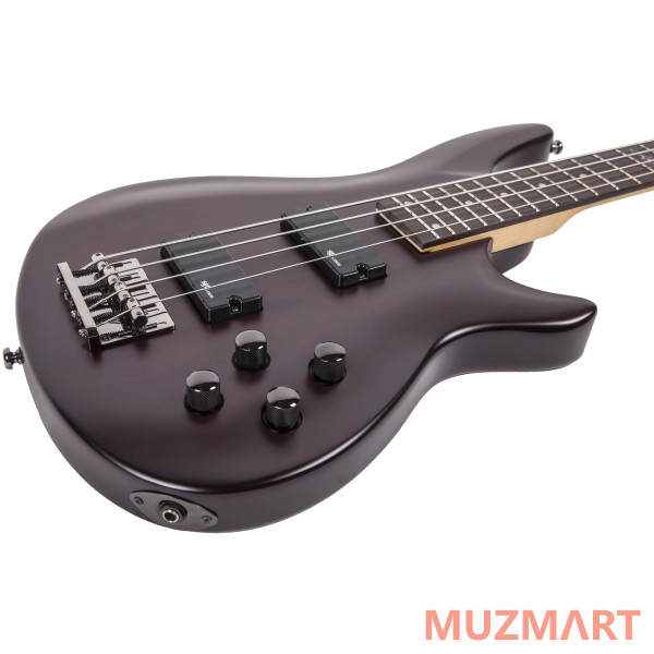 Schecter SGR C-4 Bass WSN Бас-гитара