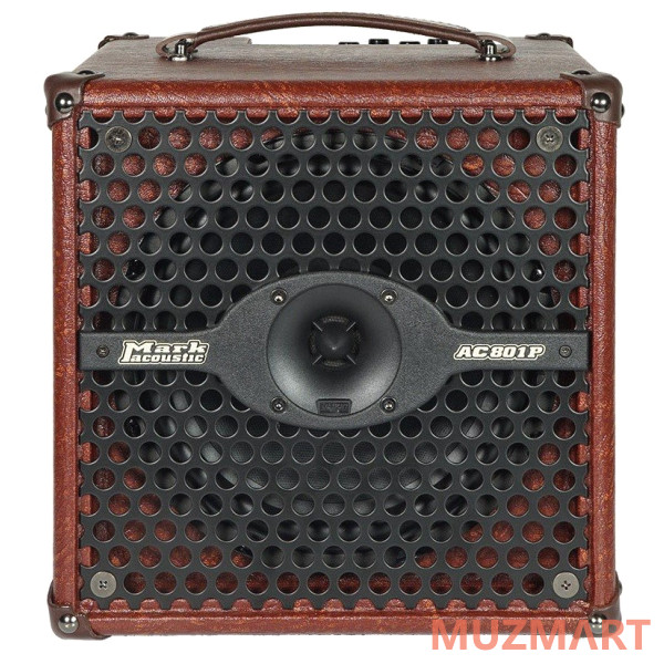 Dv Mark AC 801 P Комбо для акустической гитары