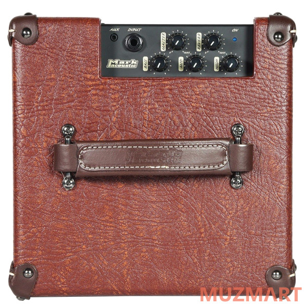 Dv Mark AC 801 P Комбо для акустической гитары