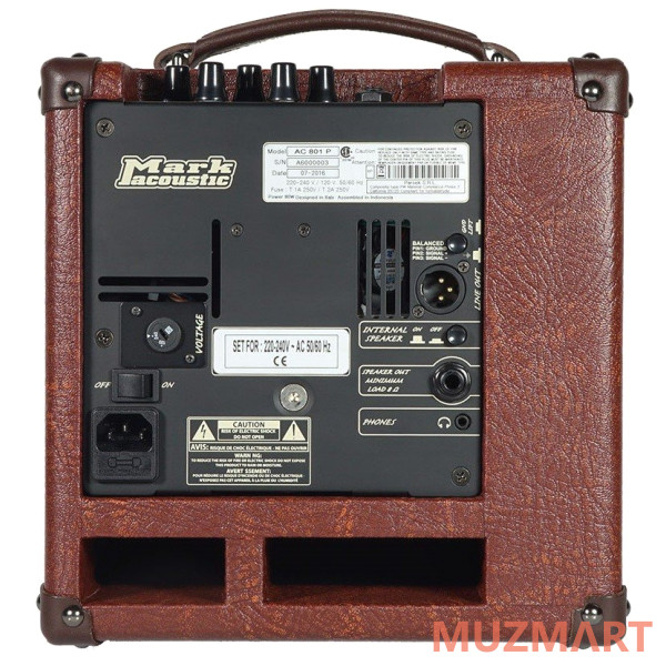 Dv Mark AC 801 P Комбо для акустической гитары