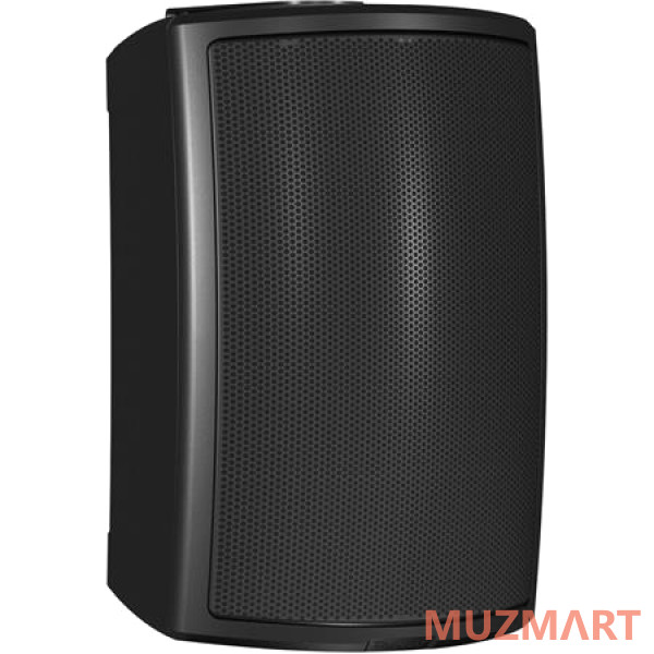 Tannoy AMS 6ICT Пассивная акустическая система