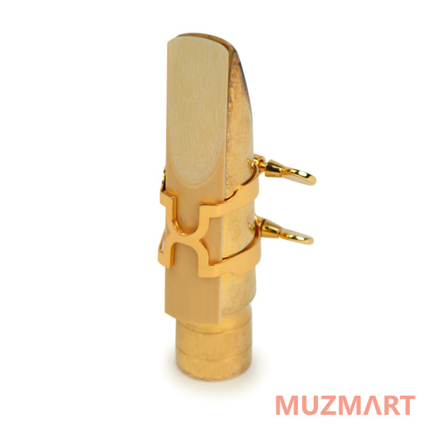 D'Addario Woodwinds Rico HTS2G H-Ligature Лигатура с колпачком