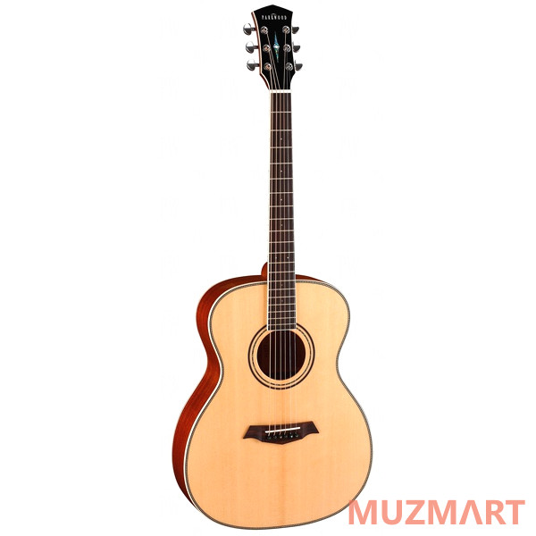 Parkwood P620 Акустическая гитара