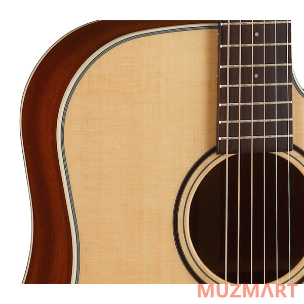 Parkwood S21-GT Акустическая гитара