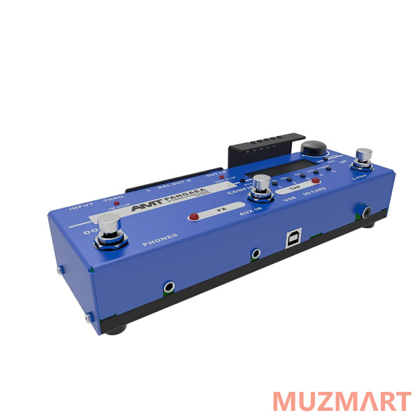 AMT Electronics CP-100FX PANGAEA IR Кабинет, симулятор и процессор эффектов