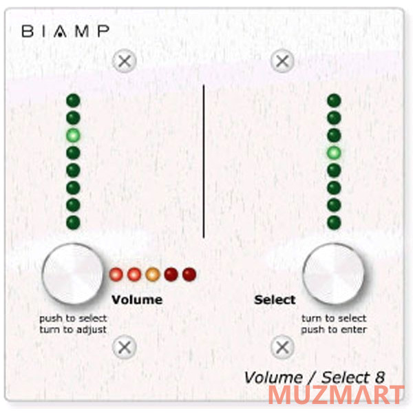 Biamp 2G Package Двойная накладная коробка для Volume/Select 8