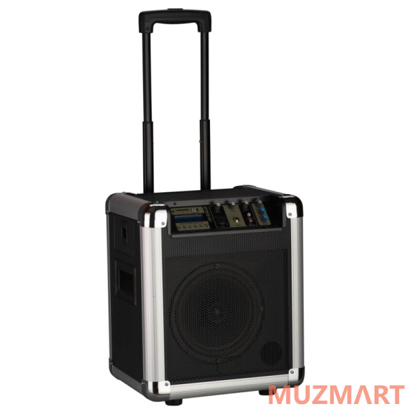 Soundking PA8M Акустическая система с MP3 и микрофоном