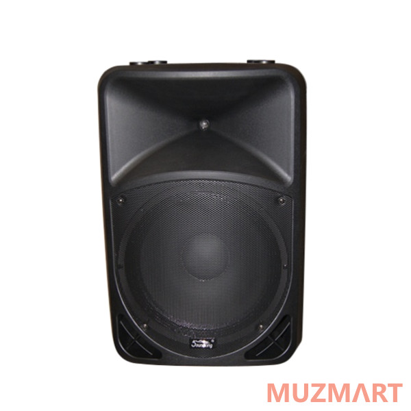 Soundking WJ15A Акустическая система с 2 микрофонами