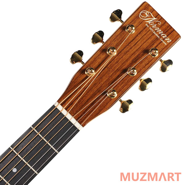Norman 001255 Studio ST68 DLX TRIC Акустическая гитара