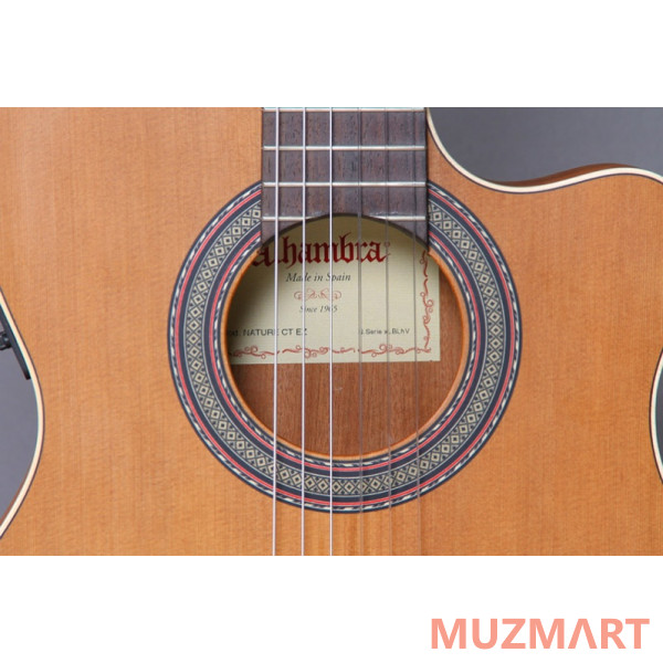 Alhambra 8.010 Z-Nature CT EZ Классическая гитара со звукоснимателем