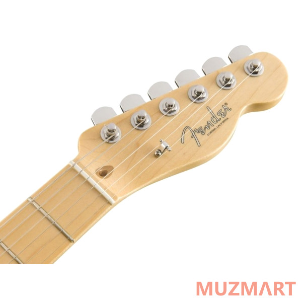 Fender WHITEGUARD STRATOCASTER MN VBL Электрогитара