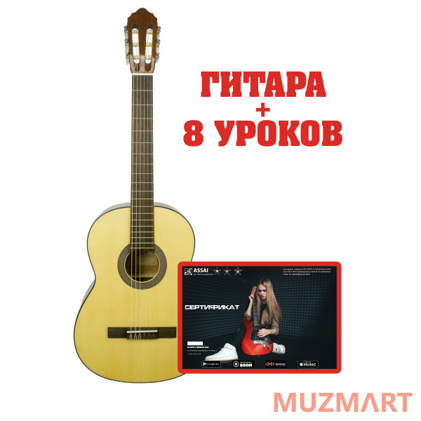 Cort AC100-SG Набор гитариста