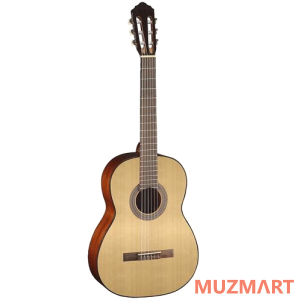 Cort AC100-SG Набор гитариста