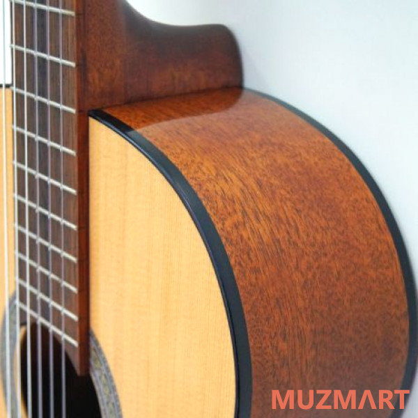 Cort AC100-SG Набор гитариста