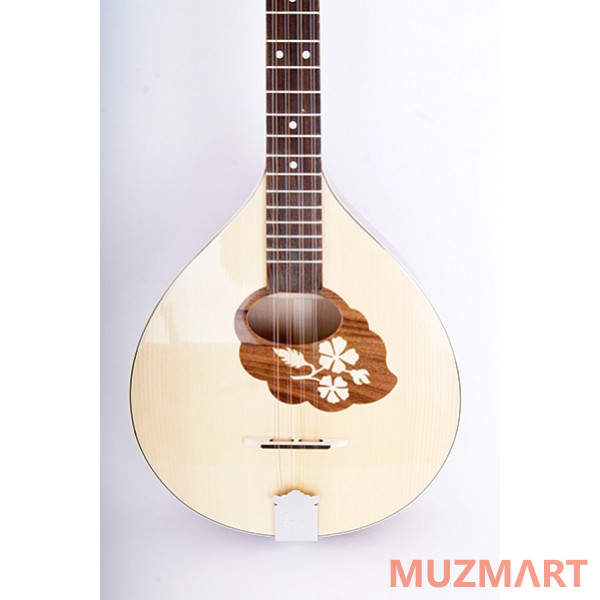 Hora M1089 Irish Bouzouki Бузуки с чехлом