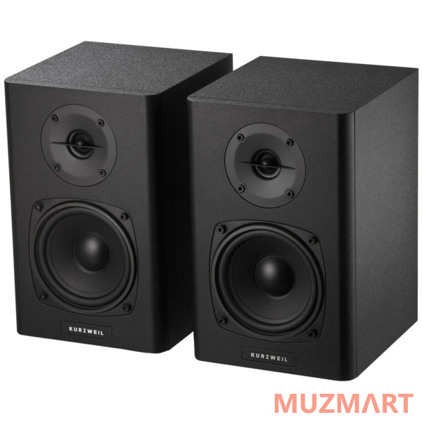 Kurzweil KS-40A Мониторы (пара)