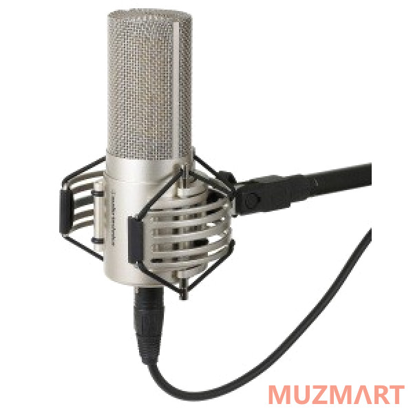 Audio-Technica AT5047 студийный кардиоидный конденсаторный микрофон с большой диафрагмой