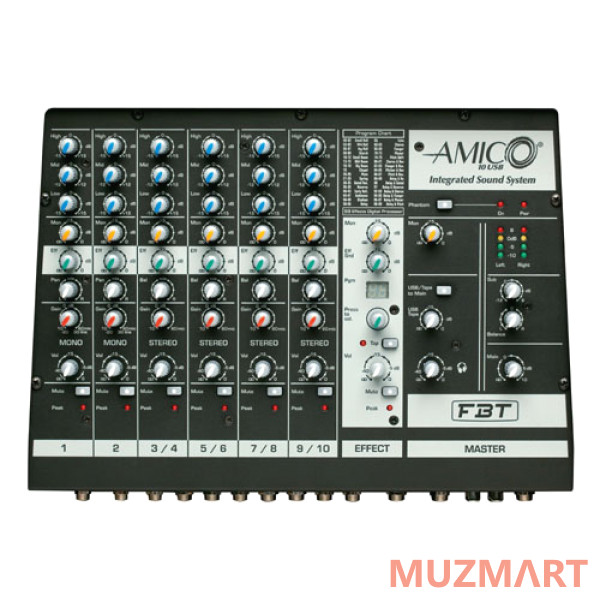 FBT AMICO 10 USB Активный звукоусилительный комплект