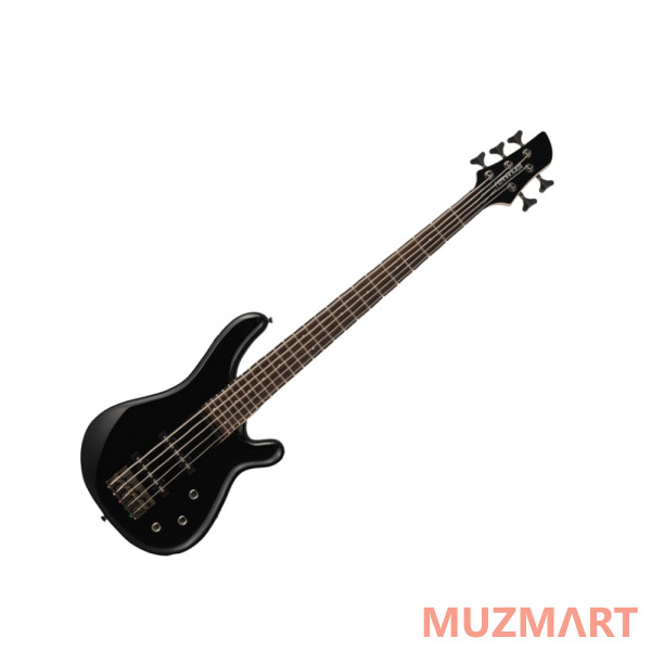 Fernandes Guitars G5X08 BLK Пятиструнная бас-гитара