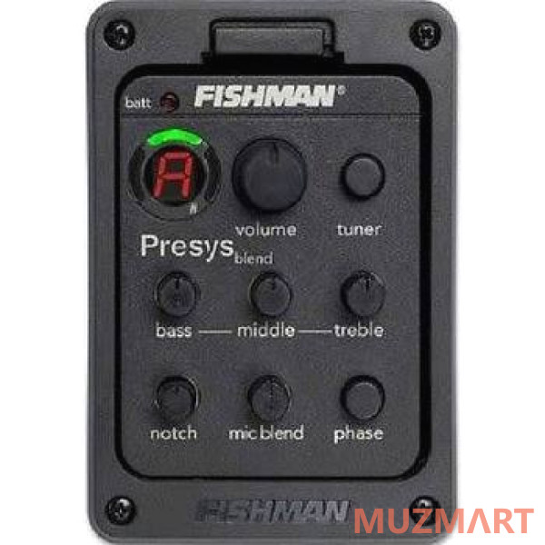 Washburn WD150SWCE электроакустическая гитара