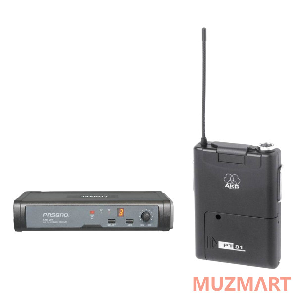 Pasgao PAW260/ PT81 770-773 MHz Радиосистема