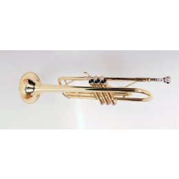 Conductor FLT-TR-3 Труба