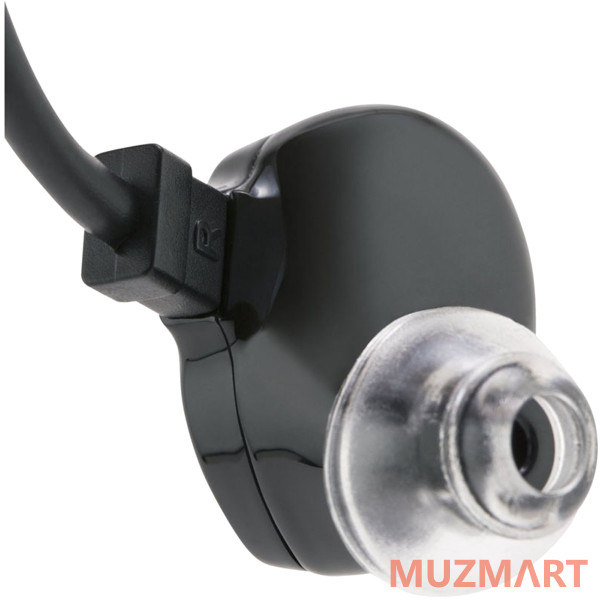 Fender IEM Nine 0 Black Metallic Внутриканальные наушники