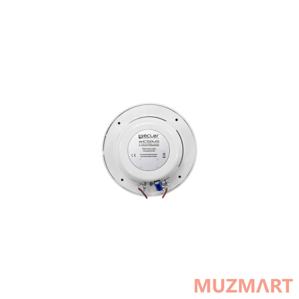 Ecler eIC52MS Громкоговоритель