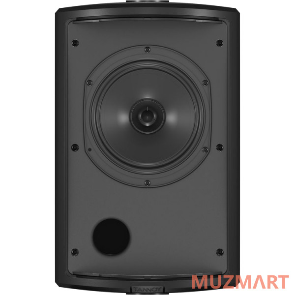 Tannoy AMS 6DC пассивная акустическая система